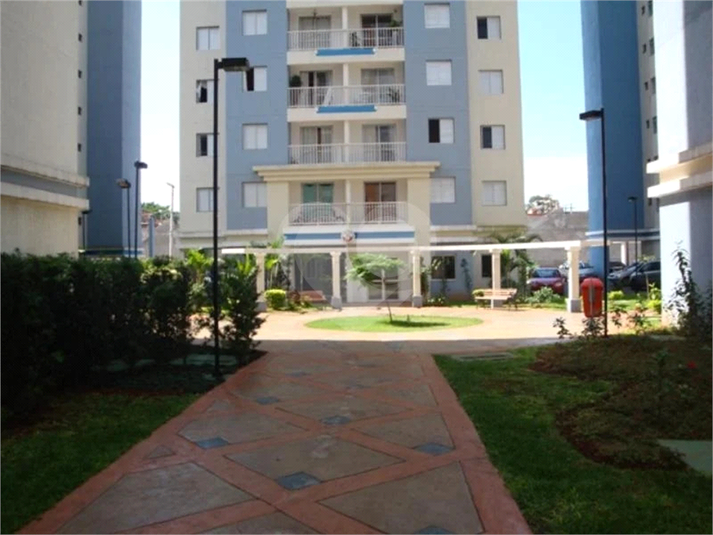 Foto REO1065061
