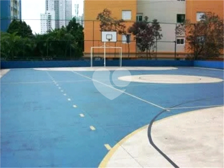 Foto REO1065061