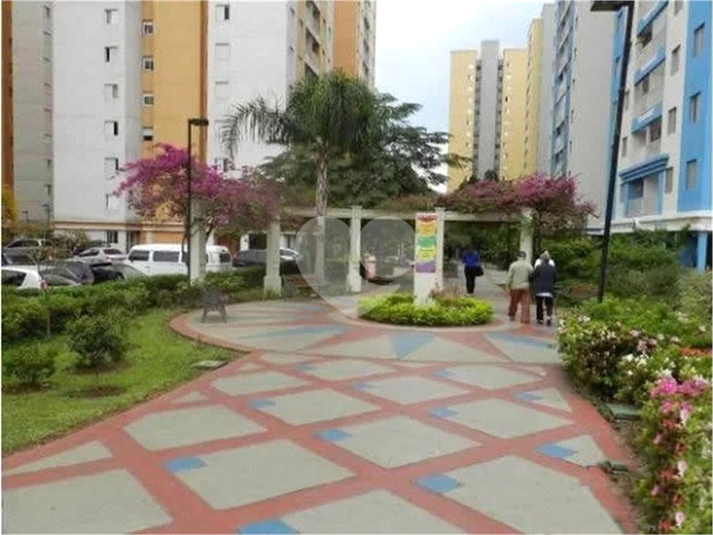 Foto REO1065061