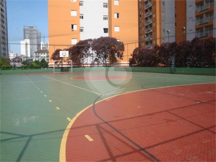 Foto REO1065061