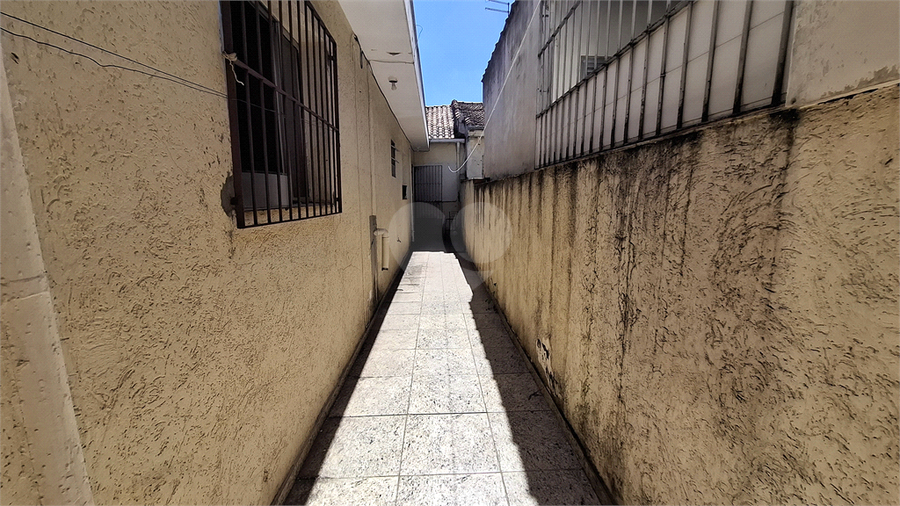 Foto REO1065087