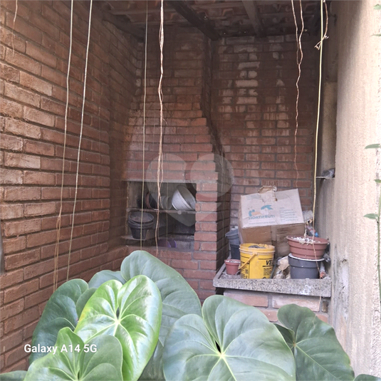 Foto REO1065116