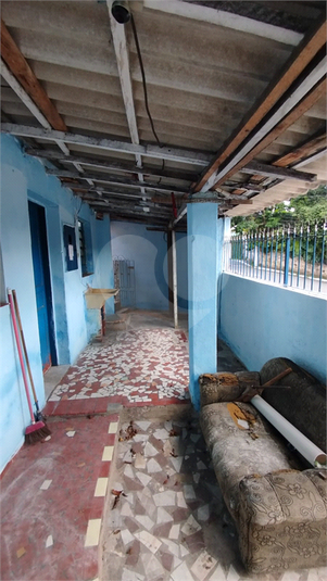Foto REO1065143