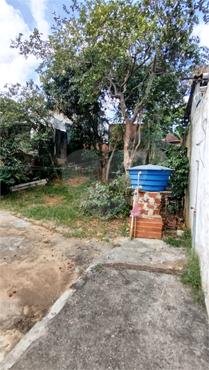 Foto REO1065143