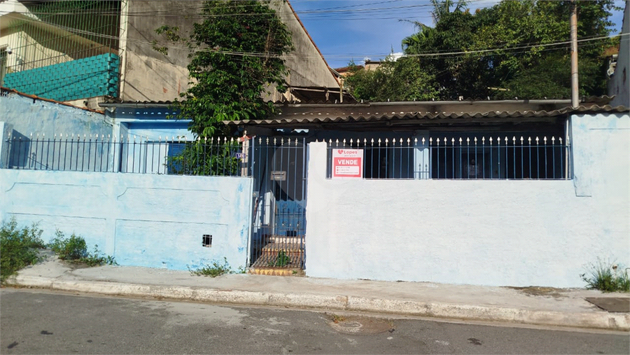 Foto REO1065143