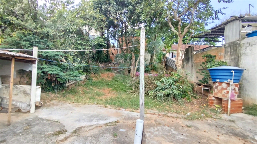 Foto REO1065143