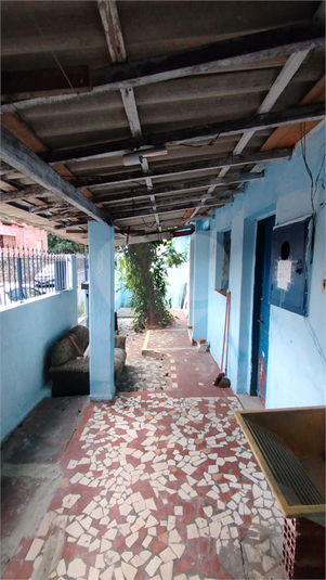 Foto REO1065143