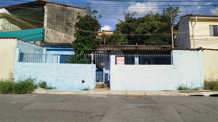 Foto REO1065143