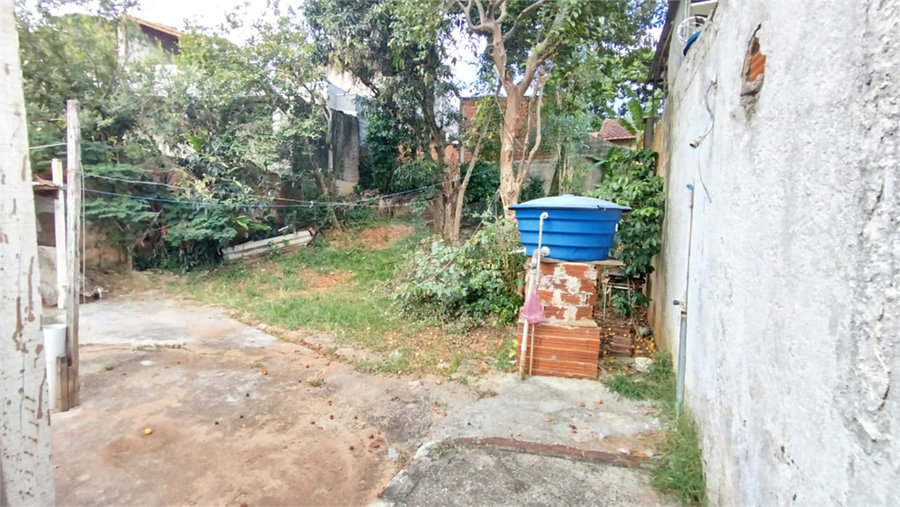 Foto REO1065143