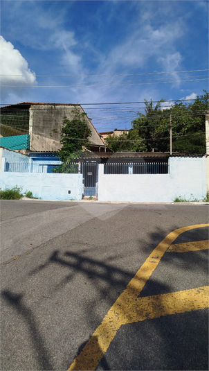 Foto REO1065143