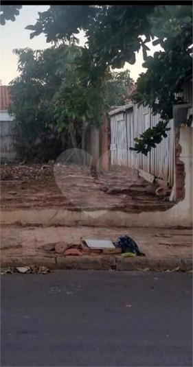 Foto REO1065171