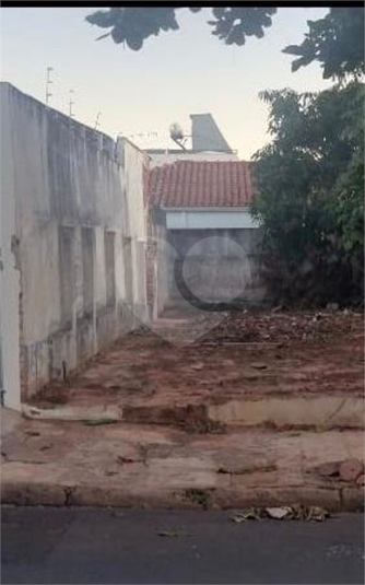 Foto REO1065171