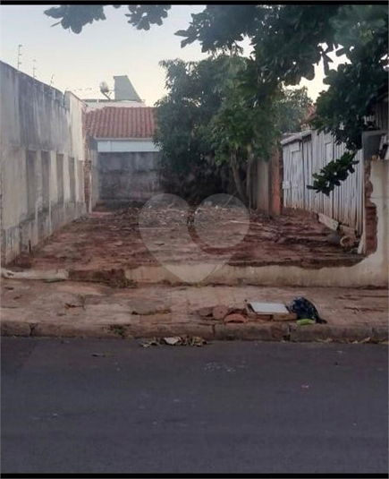 Foto REO1065171