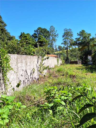 Foto REO1065182