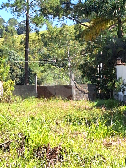 Foto REO1065182