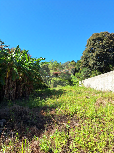 Foto REO1065182
