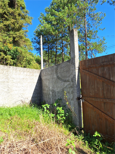 Foto REO1065182