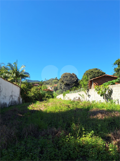 Foto REO1065182