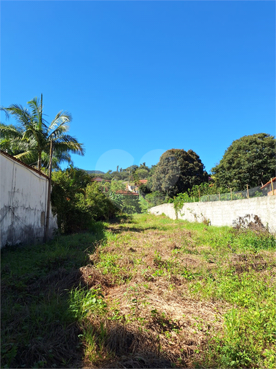 Foto REO1065182