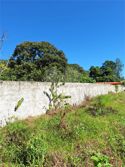 Foto REO1065182