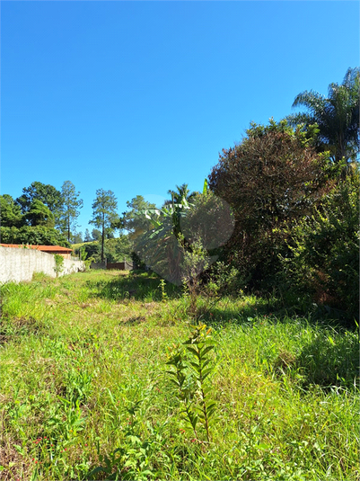 Foto REO1065182