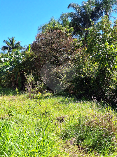 Foto REO1065182