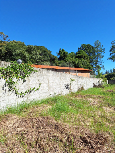 Foto REO1065182