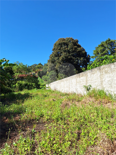 Foto REO1065182