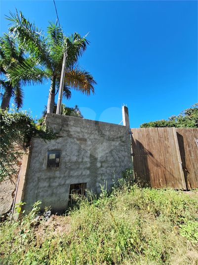 Foto REO1065182