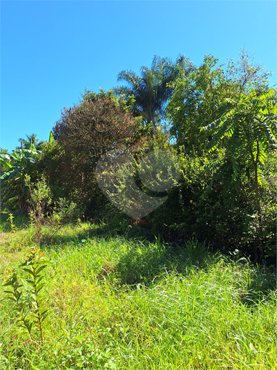 Foto REO1065182