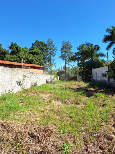Foto REO1065182