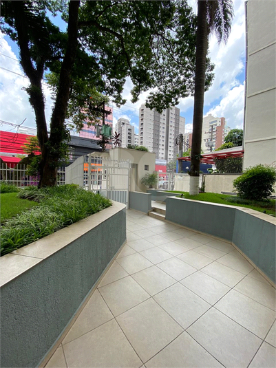 Foto REO1065184