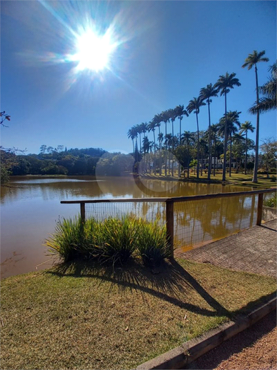 Foto REO1065185