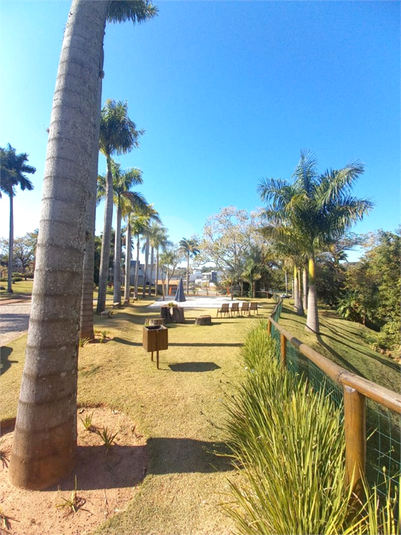 Foto REO1065185