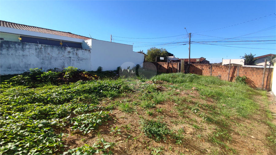Foto REO1065208