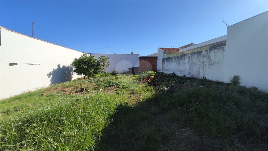 Foto REO1065208