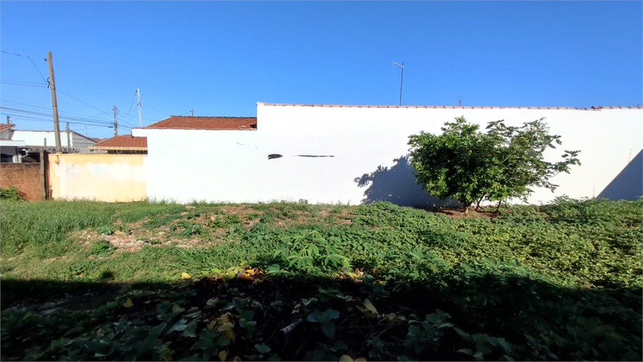 Foto REO1065208