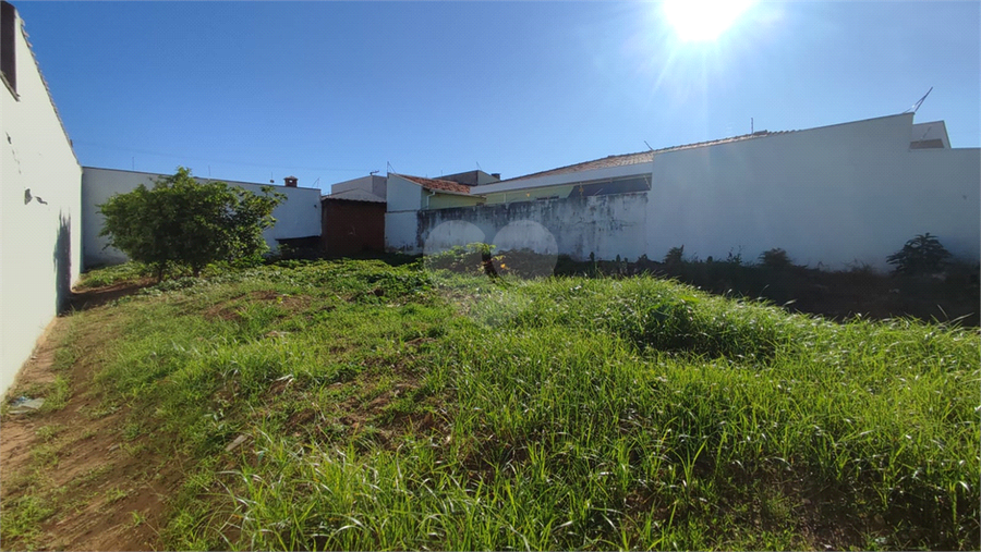 Foto REO1065208