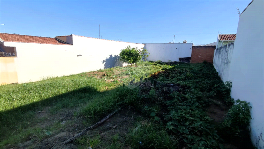 Foto REO1065208