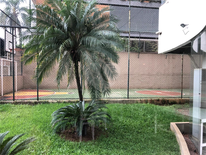 Foto REO1065250