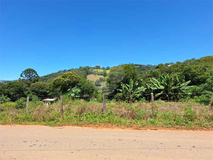 Foto REO1065251