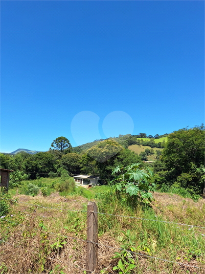 Foto REO1065251