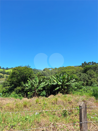 Foto REO1065251