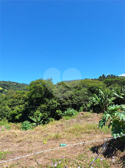 Foto REO1065251
