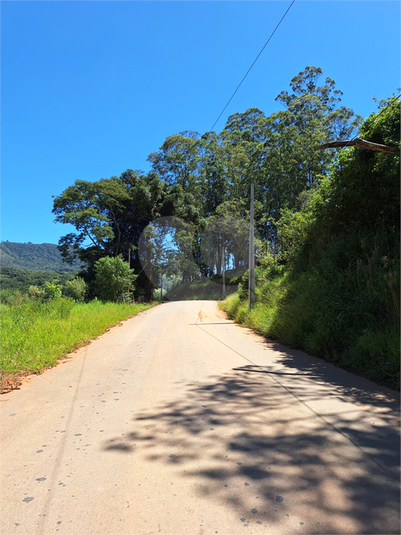 Foto REO1065251