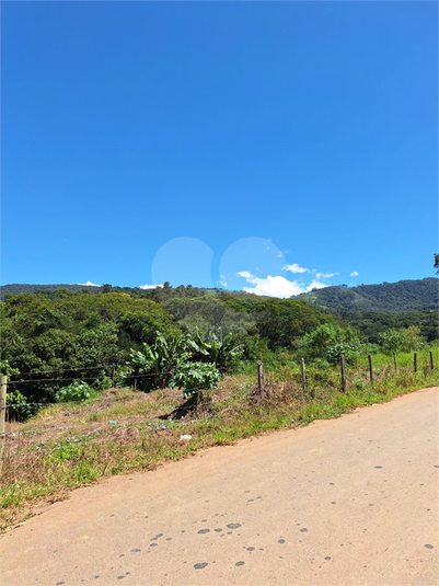 Foto REO1065251