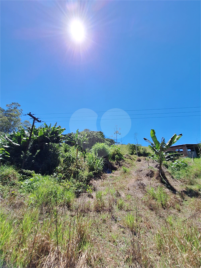 Foto REO1065251