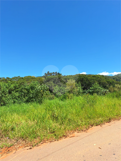 Foto REO1065251