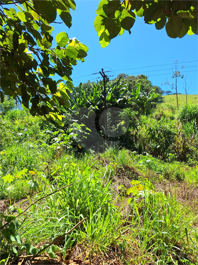 Foto REO1065251