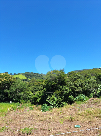 Foto REO1065251